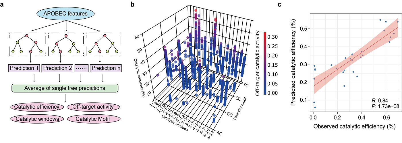 AlphaCD發(fā)布！標(biāo)志酶活特征預(yù)測進(jìn)入定量時(shí)代